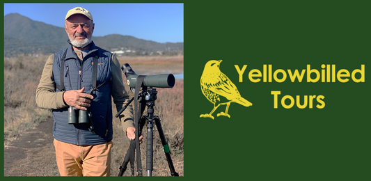 Community Spotlight: Rich Cimino