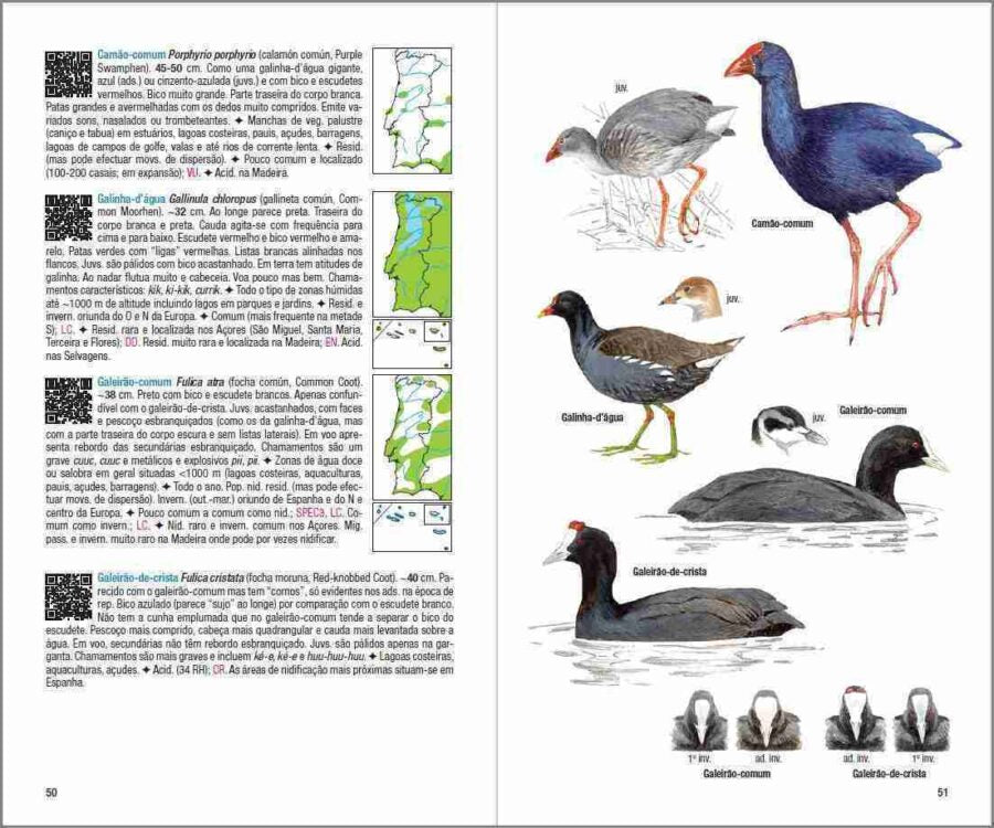Aves de Portugal