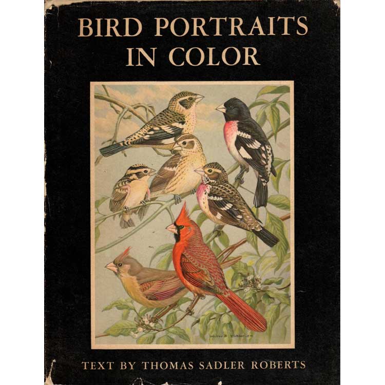 Book cover and/or sample page of Bird Portraits in Color