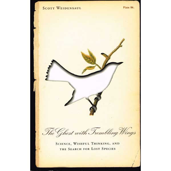 The Ghost With Trembling Wings: Science, Wishful Thinking, and the Search for Lost Species cover