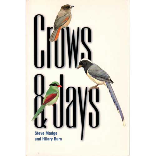 Crows and Jays cover