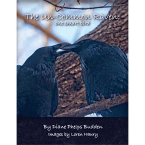 The Un-Common Raven: One Smart Bird cover