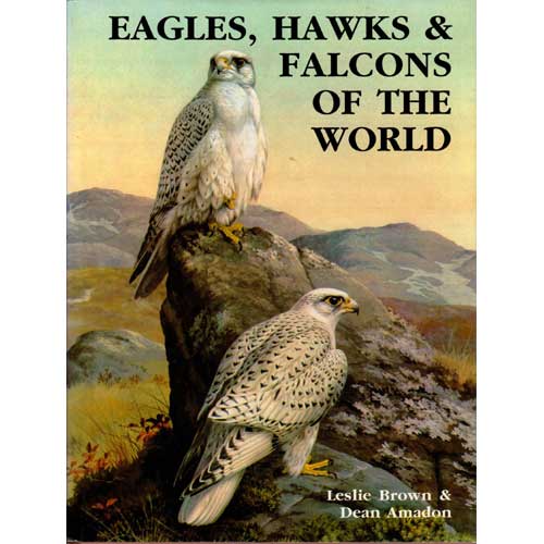Book cover Eagles, Hawks & Falcons of the World
