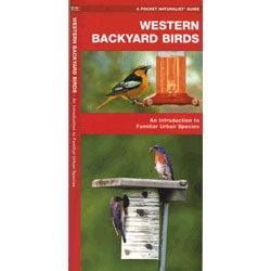 Western Backyard Birds: An Introduction to Familiar Urban Species. Pocket Naturalist cover