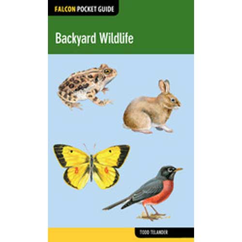 Falcon Pocket Guide: Backyard Wildlife cover