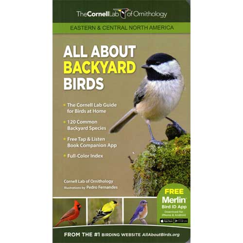 All About Backyard Birds Family Pocket Guide: Eastern and Central North America cover