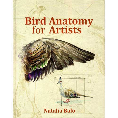 Book cover and/or sample page of Bird Anatomy for Artists: Comprehensive Guide to Drawing Birds for Artists and Bird Lovers, Second edition