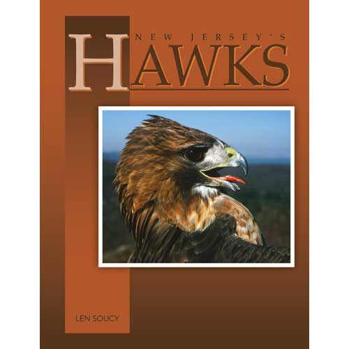 Book cover and/or sample page of New Jersey's Hawks