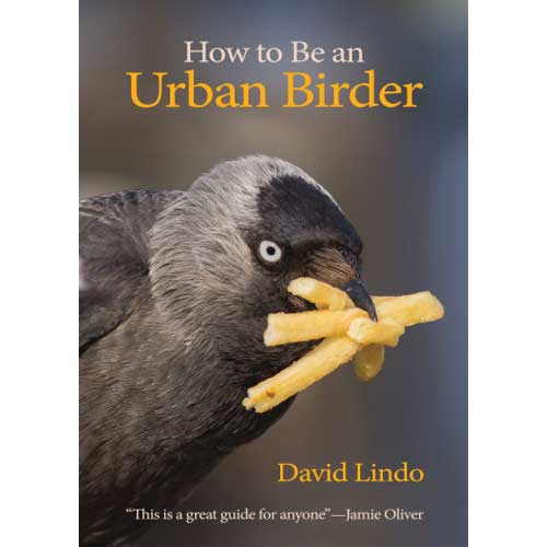 How to Be an Urban Birder cover