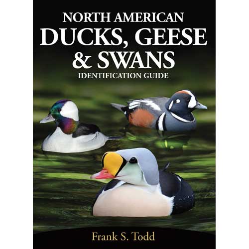 Book cover and/or sample page of North American Ducks, Geese & Swans: An Identification Guide