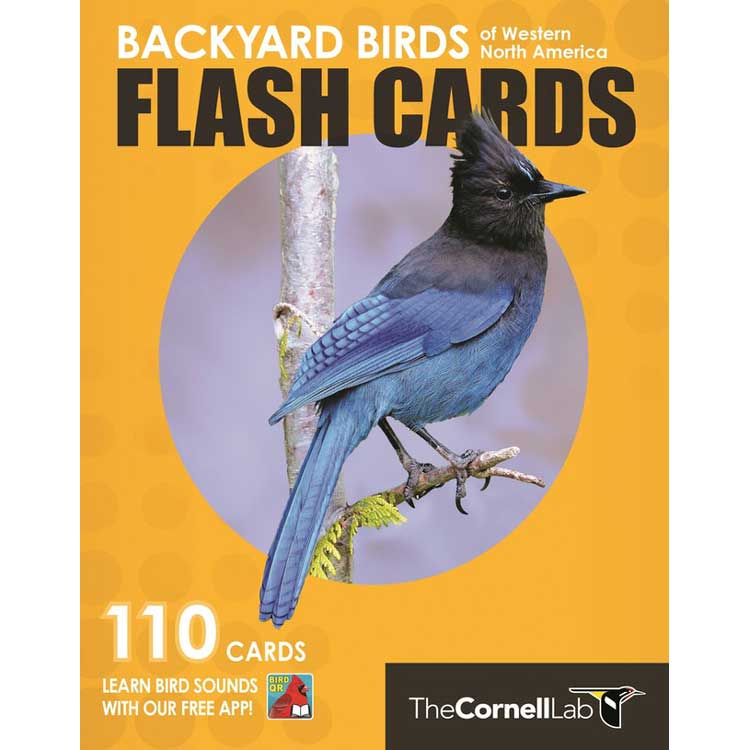 Backyard Birds Flash Cards: Western North America cover