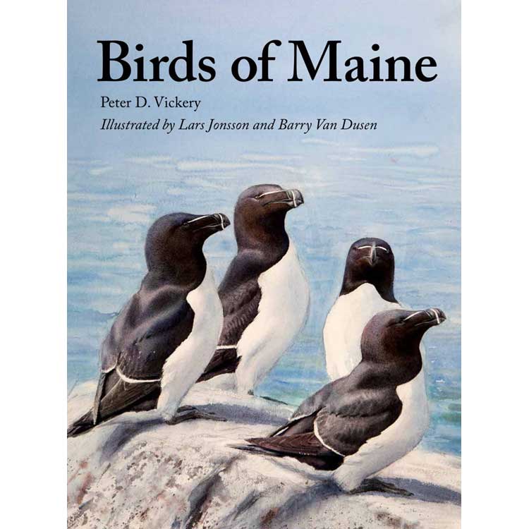 Birds of Maine cover