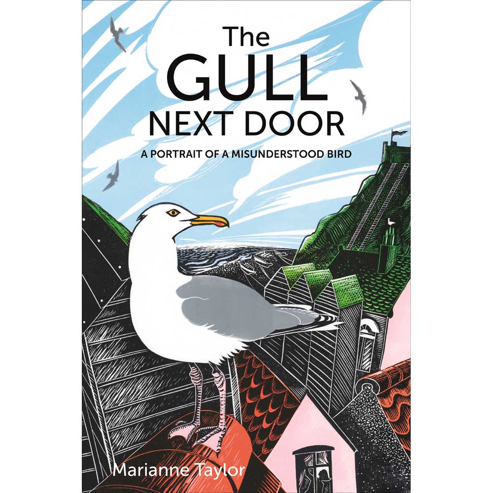 Book cover and/or sample page of The Gull Next Door: A Portrait of a Misunderstood Bird