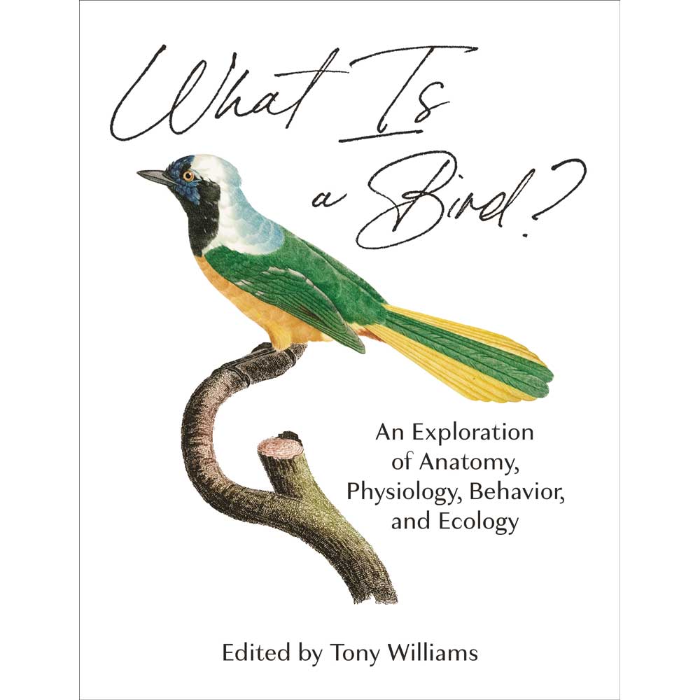 Book cover and/or sample page of What Is a Bird? An Exploration of Anatomy, Physiology, Behavior, and Ecology