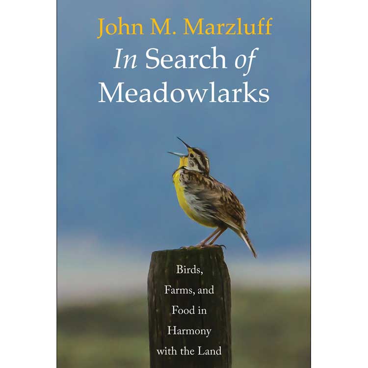 In Search of Meadowlarks: Birds, Farms, and Food in Harmony with the Land cover