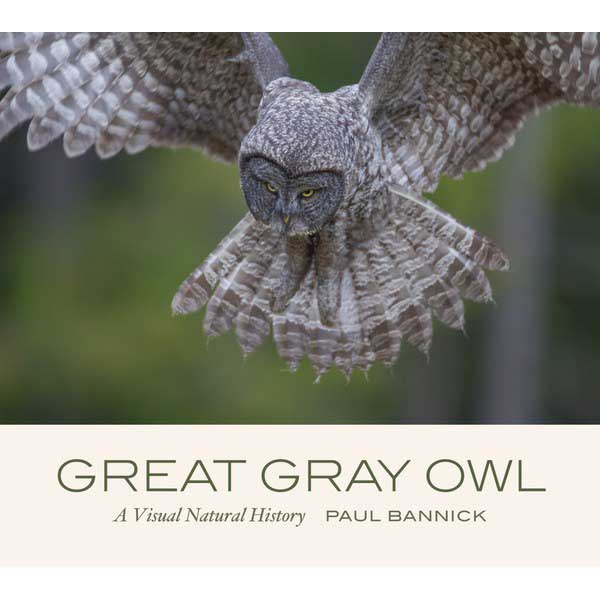 Book cover and/or sample page of Great Gray Owl: A Visual Natural History