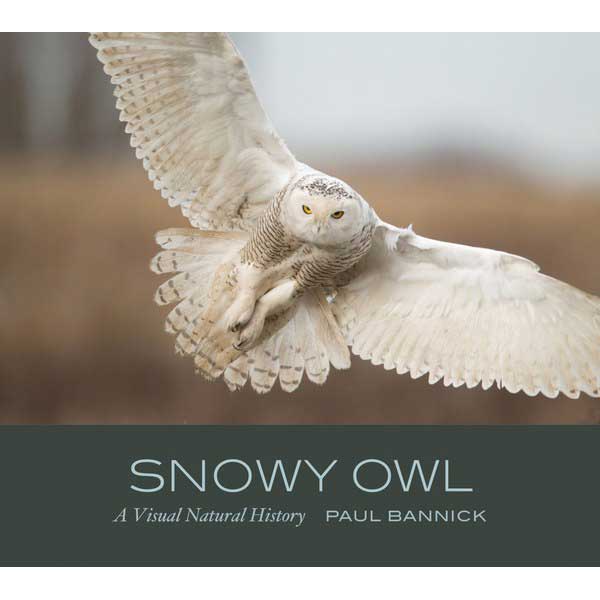Book cover and/or sample page of Snowy Owl: A Visual Natural History