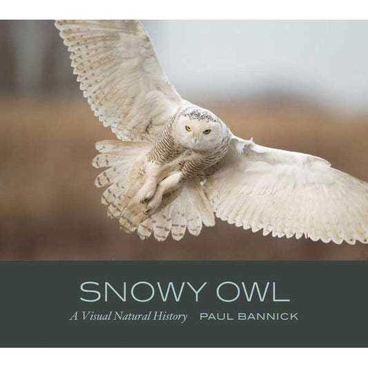 Book cover and/or sample page of Snowy Owl: A Visual Natural History
