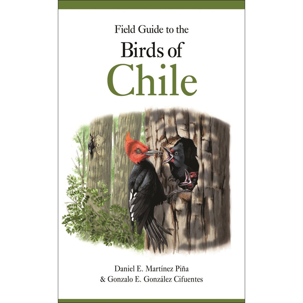 Book cover and/or sample page of Field Guide to the Birds of Chile