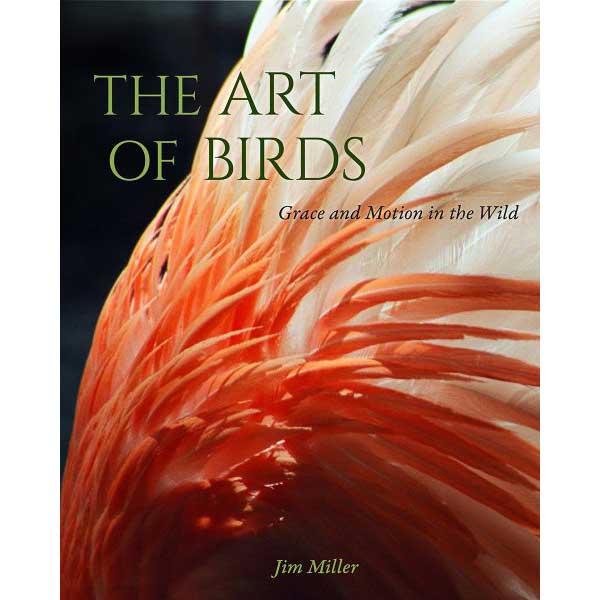 Book cover and/or sample page of The Art of Birds: Grace and Motion in the Wild