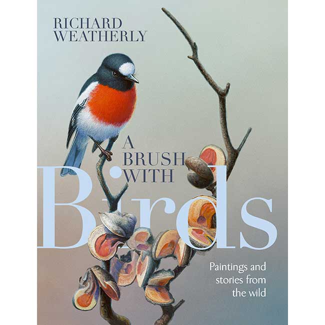 Book cover and/or sample page of A Brush with Birds: Paintings and Stories from the Wild