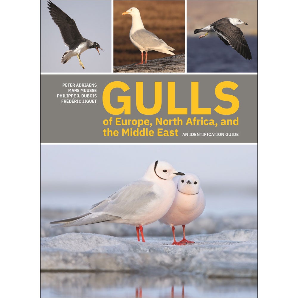 Book cover and/or sample page of Gulls of Europe, North Africa, and the Middle East: An Identification Guide