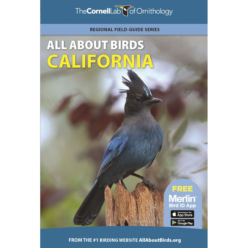 All About Birds: California cover