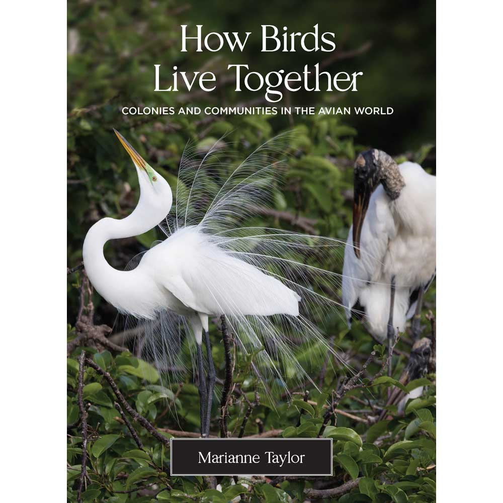 Book cover and/or sample page of How Birds Live Together: Colonies and Communities in the Avian World