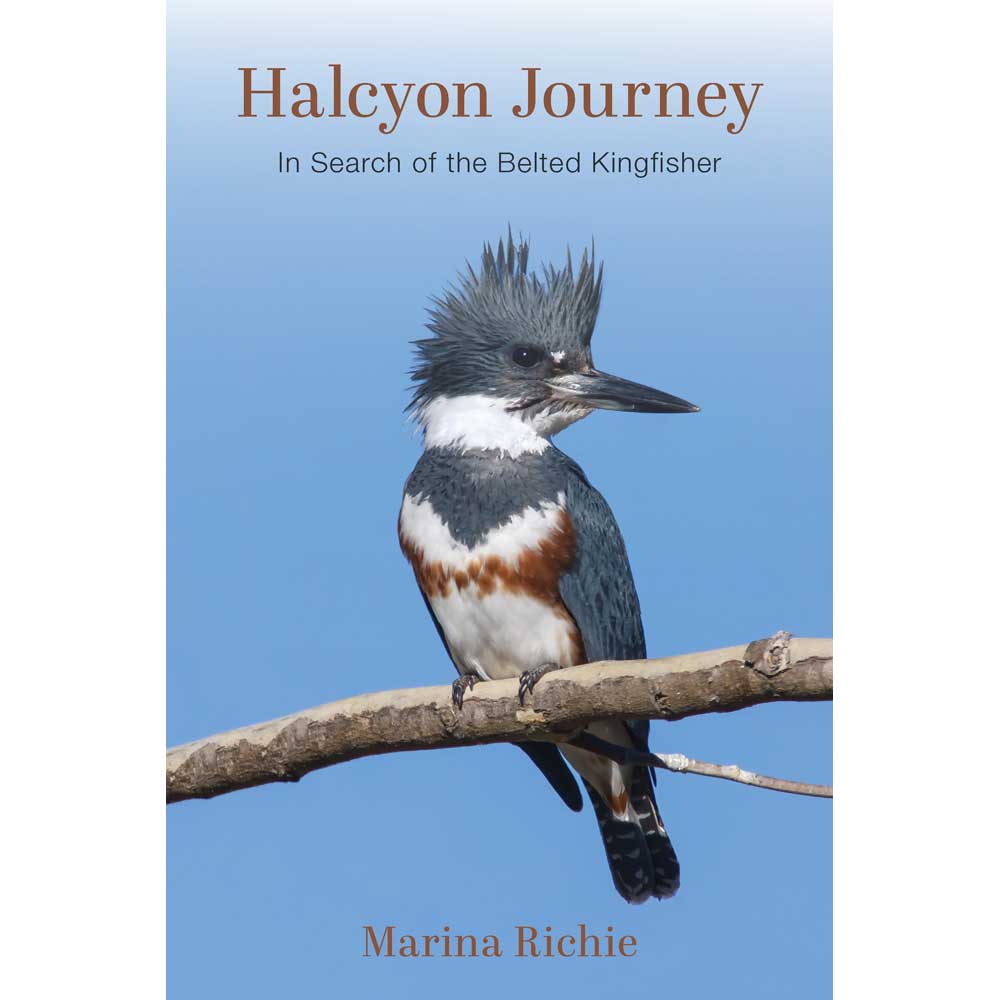 Book cover and/or sample page of Halcyon Journey: In Search of the Belted Kingfisher