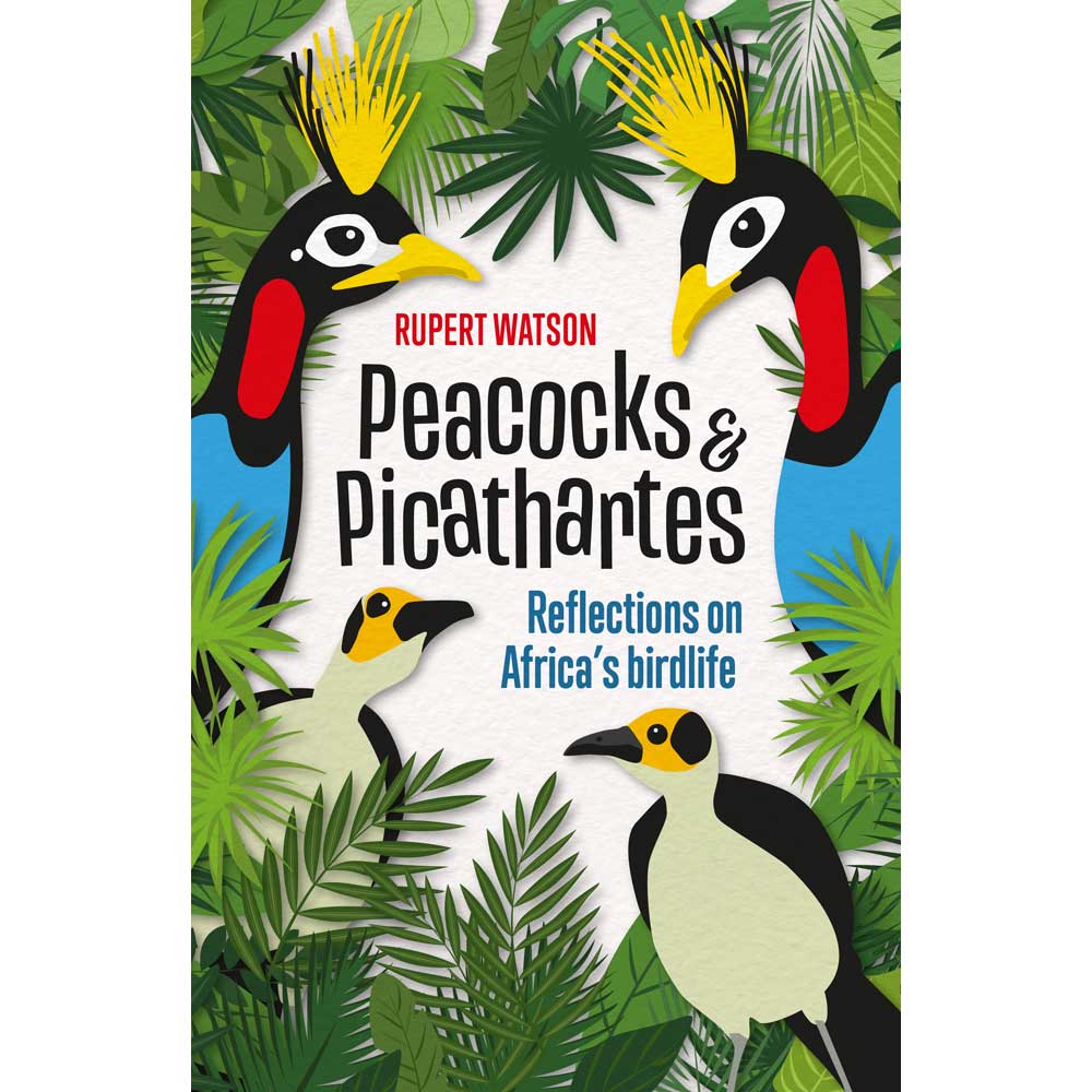 Book cover and/or sample page of Peacocks & Picathartes: Reflections on Africa's Birdlife