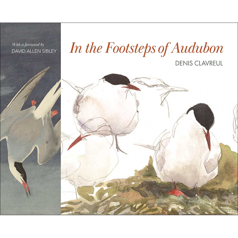 Book cover and/or sample page of In the Footsteps of Audubon