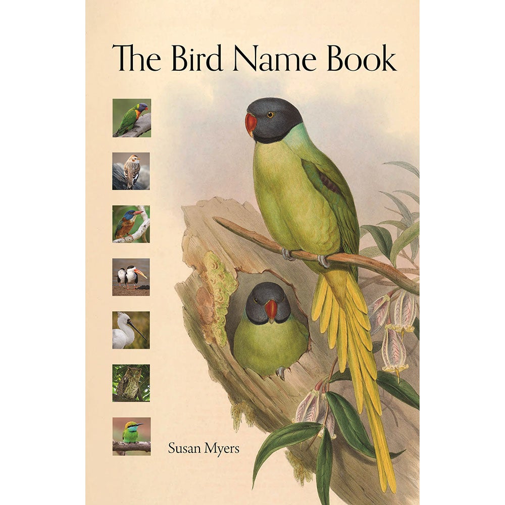 Book cover and/or sample page of The Bird Name Book: A History of English Bird Names