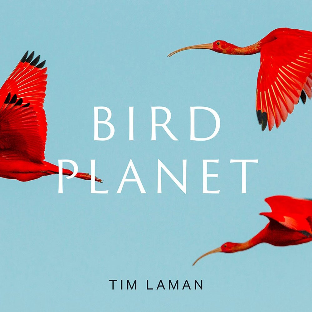 Book cover and/or sample page of Bird Planet: A Photographic Journey