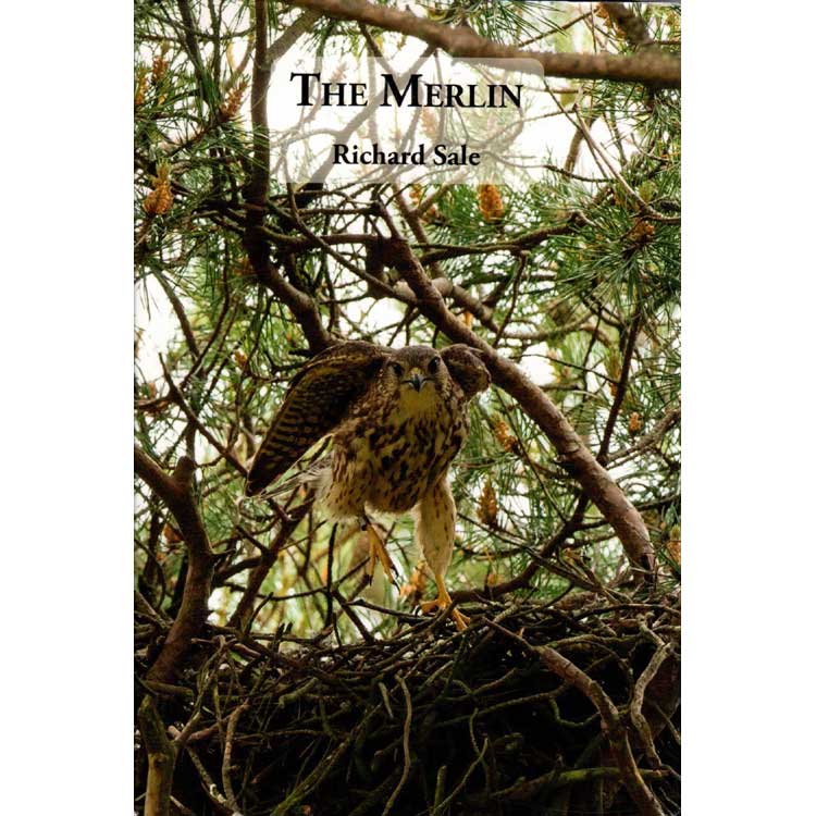 Book cover and/or sample page of The Merlin- Updated Edition
