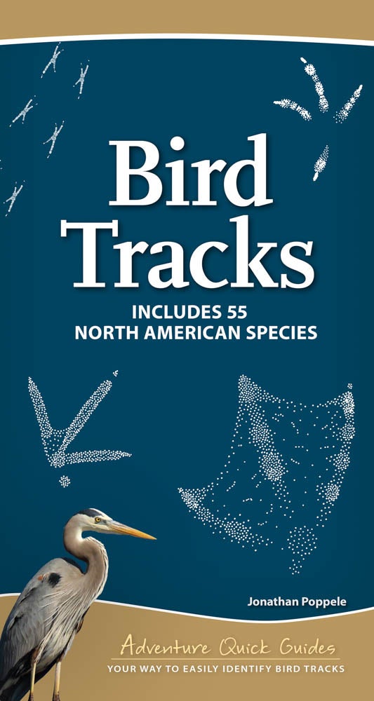 Bird Tracks: Includes 55 North American Species cover