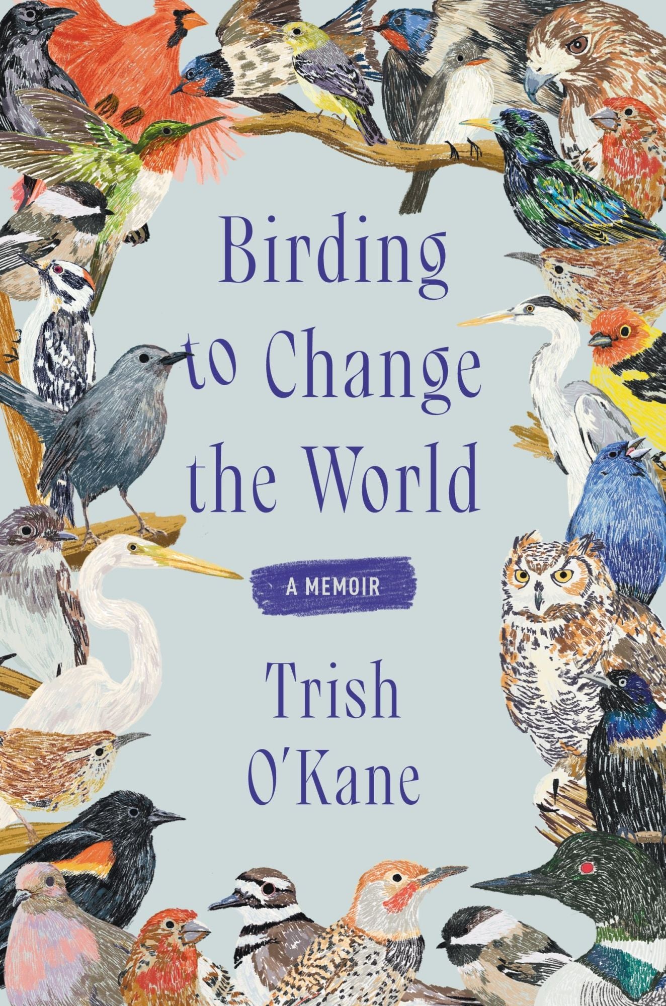 Book cover and/or sample page of Birding to Change the World: A Memoir