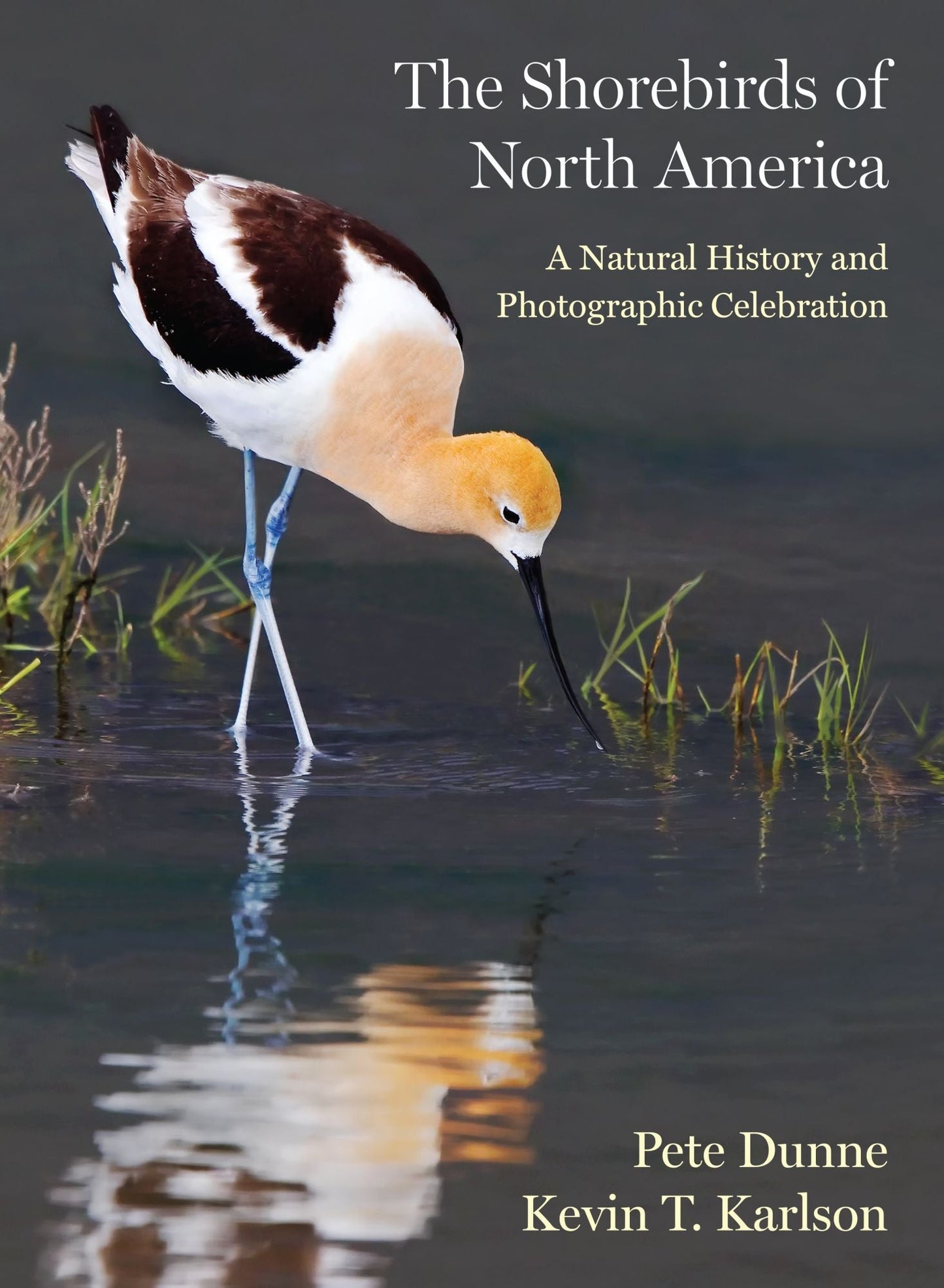 Book cover and/or sample page of The Shorebirds of North America: A Natural History and Photographic Celebration