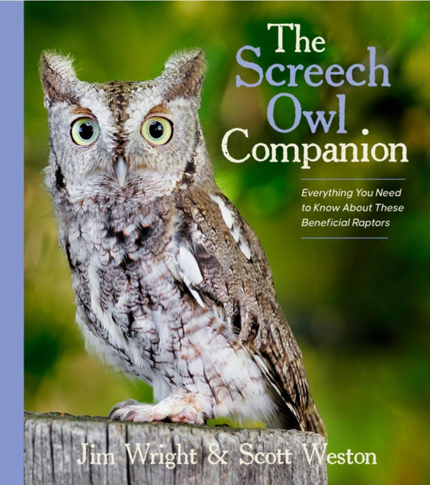 Book cover The Screech Owl Companion: Everything You Need to Know about These Beneficial Raptors