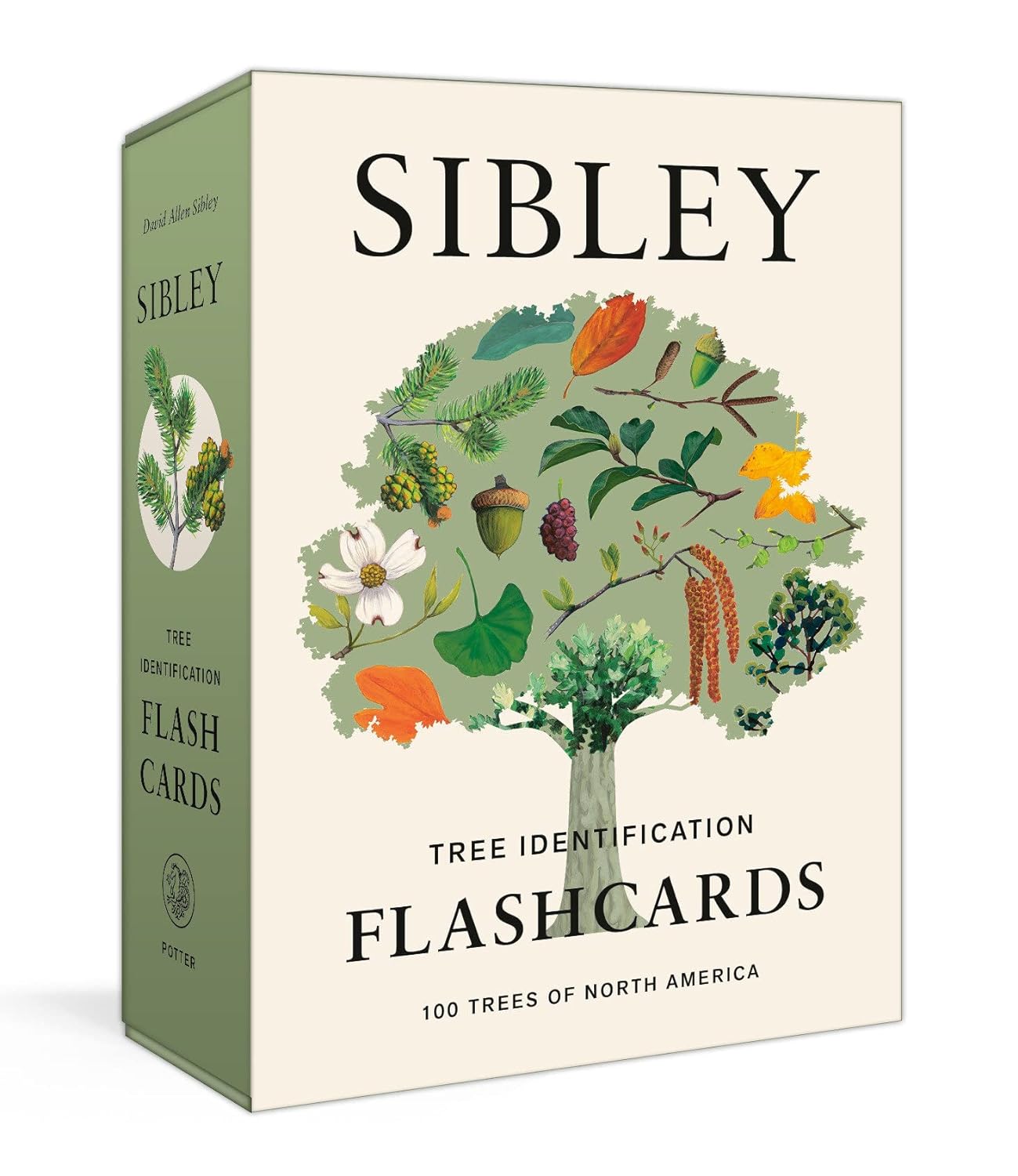 Book cover Tree Identification Flashcards: 100 Trees of North America