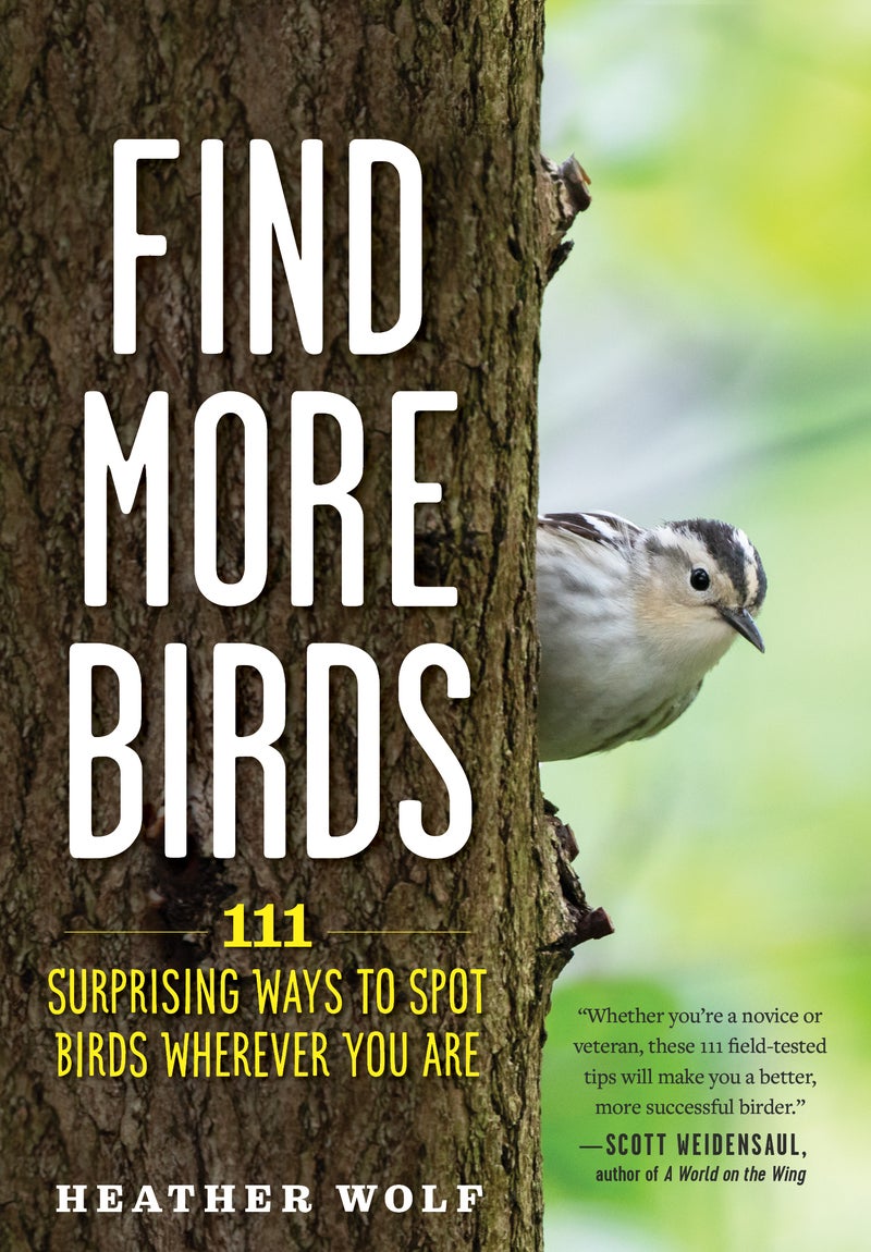 Book cover Find More Birds: 111 Surprising Ways to Spot Birds Wherever You Are