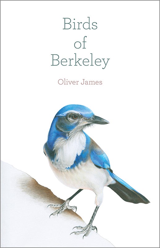 Book cover Birds of Berkeley
