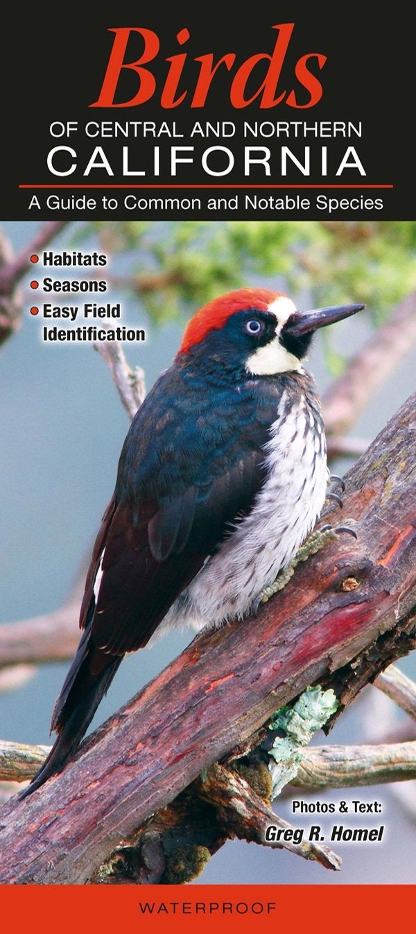Book cover Birds of Central & Northern California