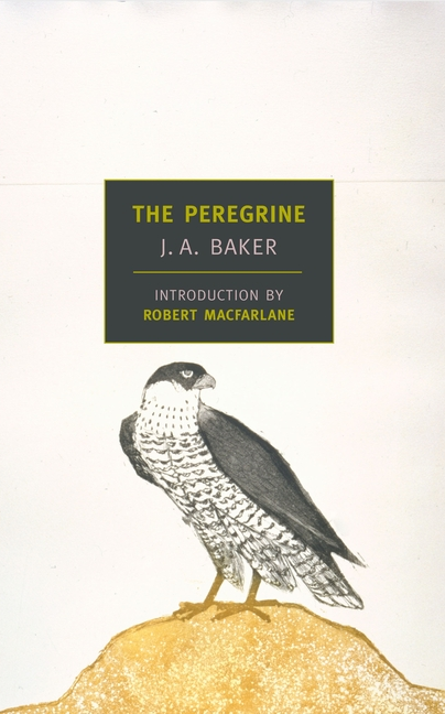 Book cover The Peregrine