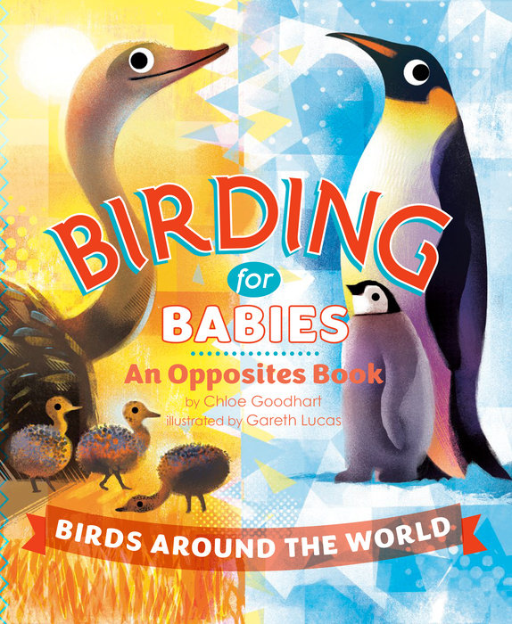 Book cover Birding for Babies: Birds Around the World