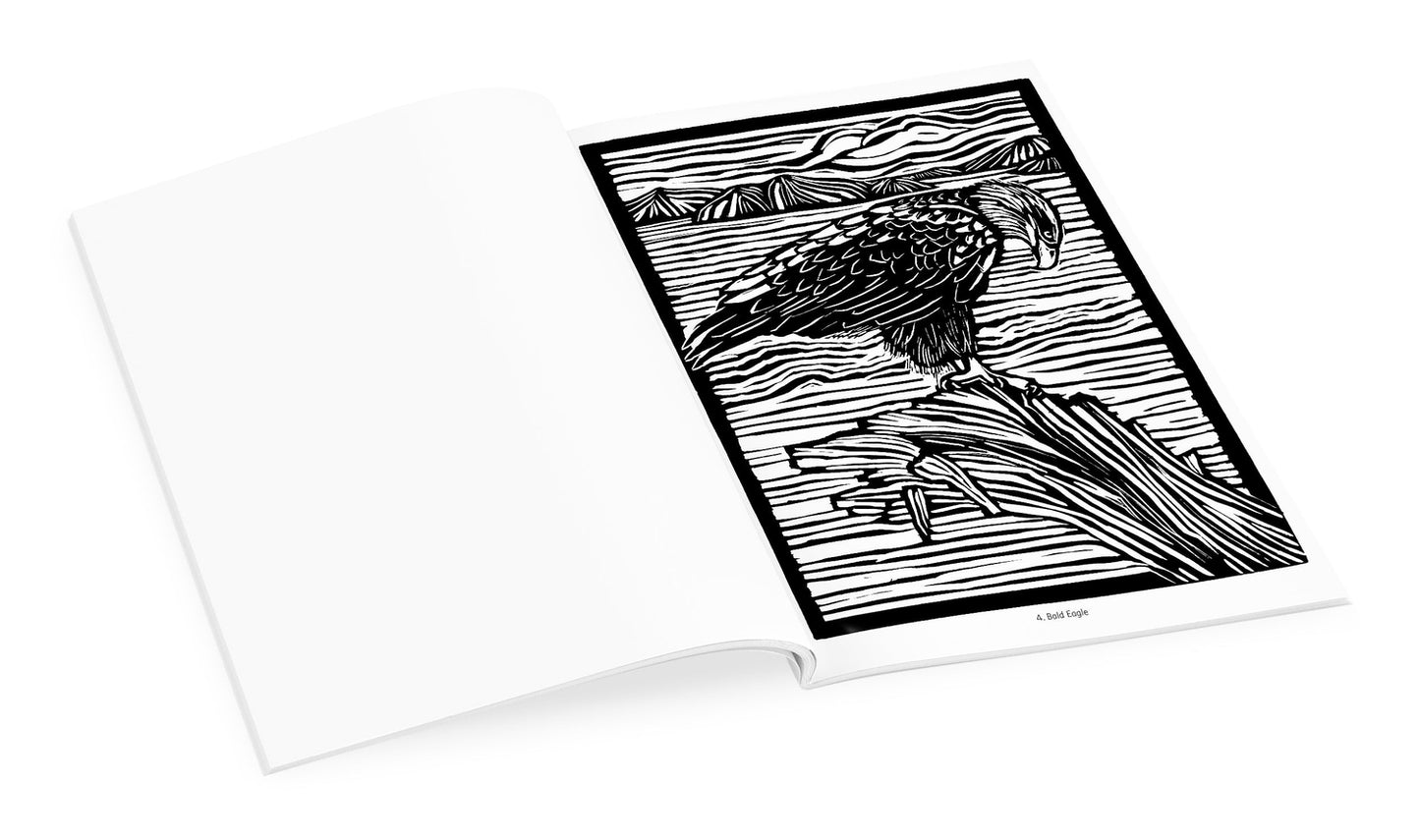 Molly Hashimoto's Birds Coloring Book