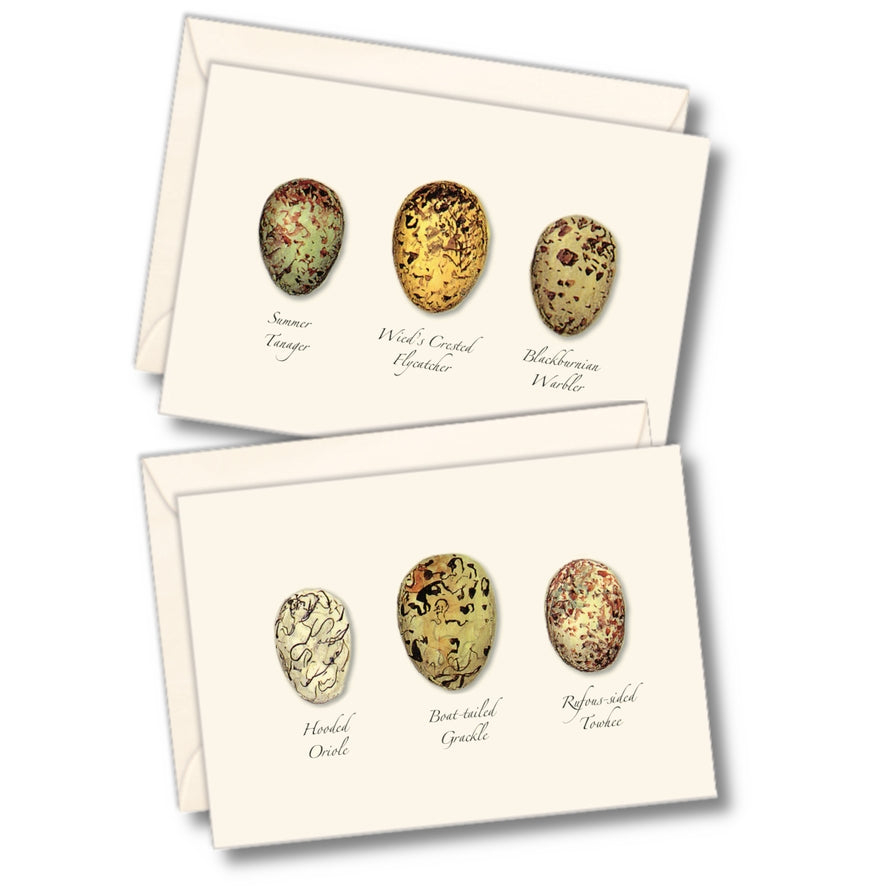 Notecard Set: Egg Assortment