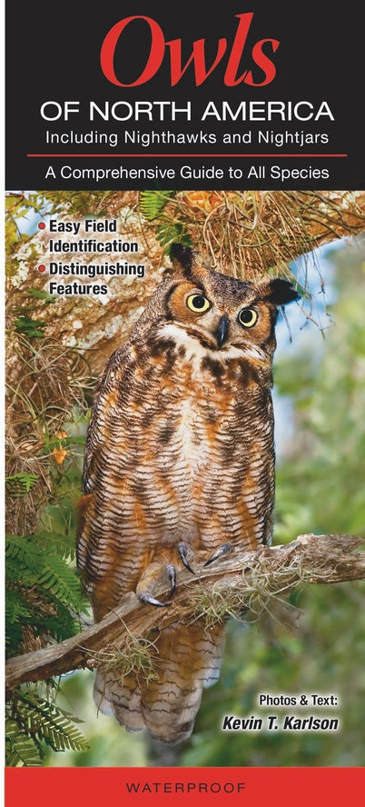 Owls of North America