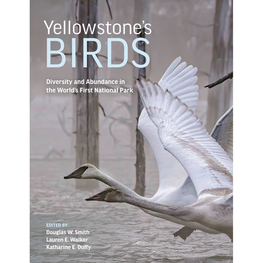 Book cover and/or sample page of Yellowstone's Birds: Diversity and Abundance in the World’s First National Park