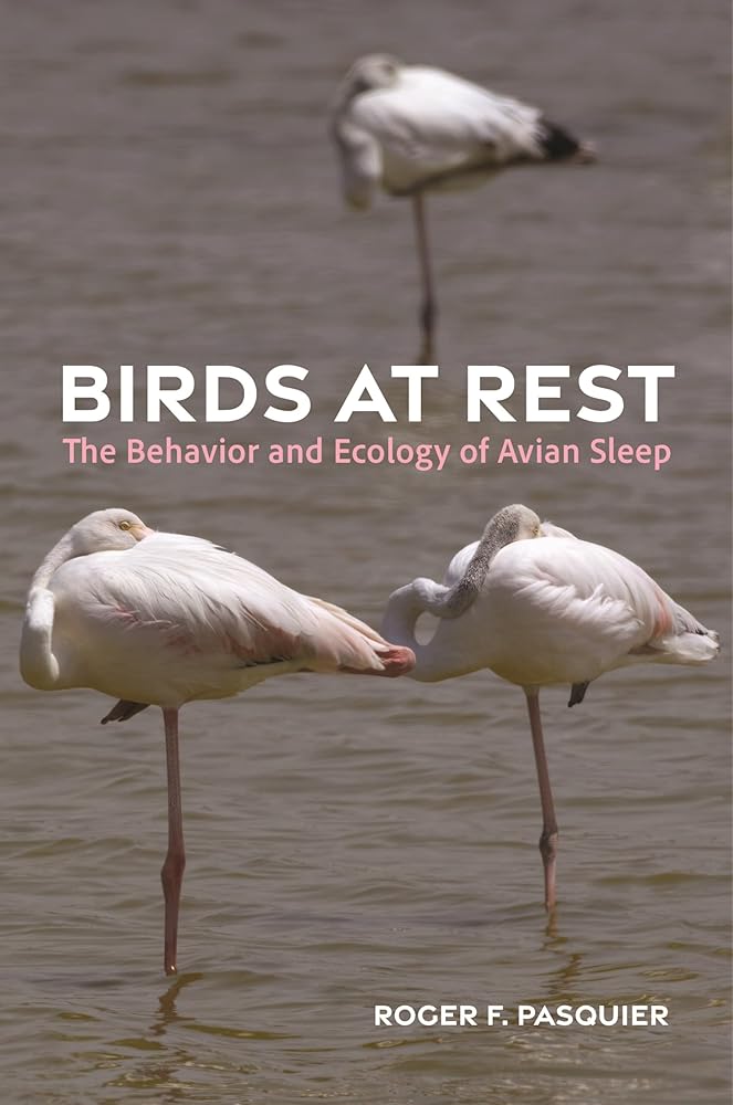 Birds at Rest: The Behavior and Ecology of Avian Sleep cover image