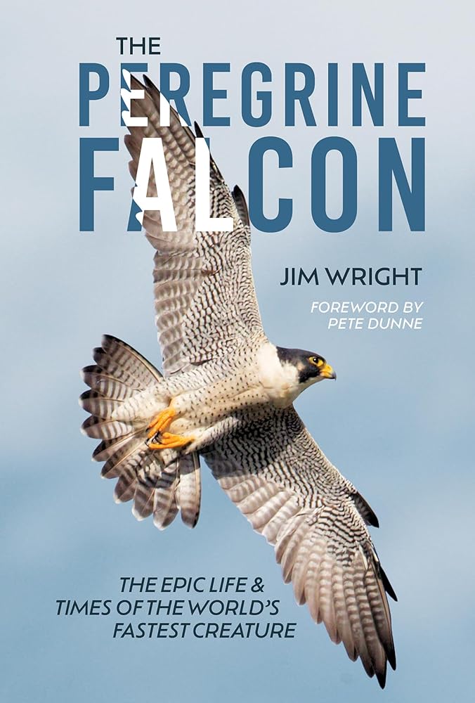 The Peregrine Falcon: The Epic Life and Times of the World’s Fastest Creature cover image